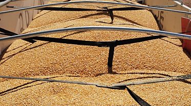 Transporte de Cargas Sólidas a Granel